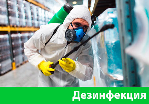 Дезинфекция в городе Березники