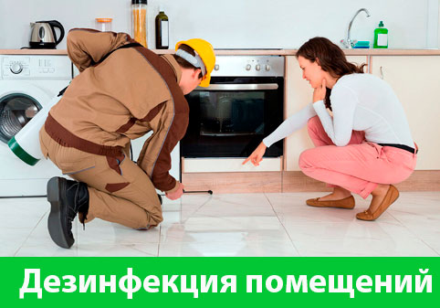 Дезинфекция офисов от коронавируса в городе Березники
