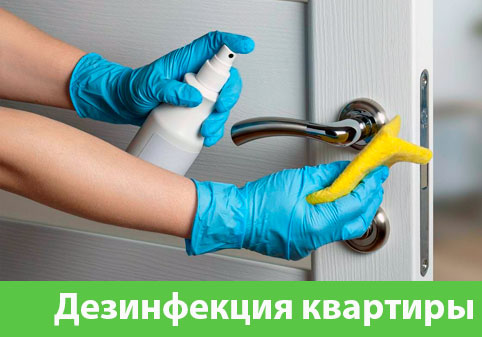 Дезинфекция квартиры в городе Березники