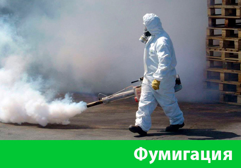 Фумигация в городе Березники
