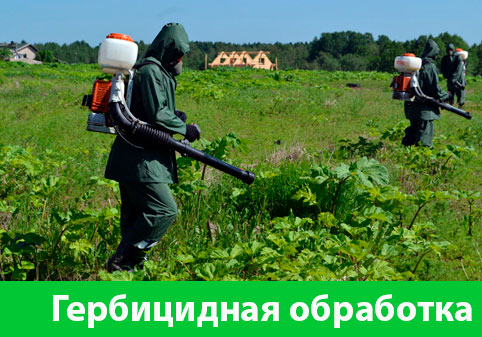 Гербицидная обработка в городе Березники