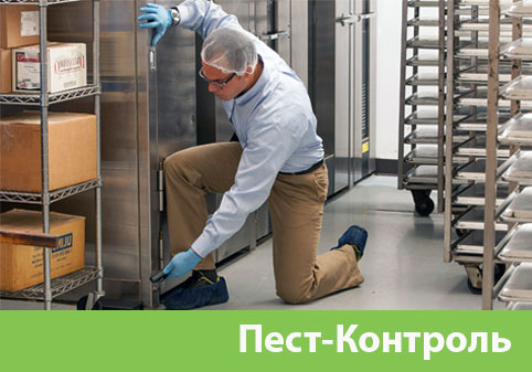 Пэст-Контроль в городе Березники
