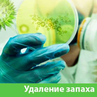 Удаление запахов в Березниках